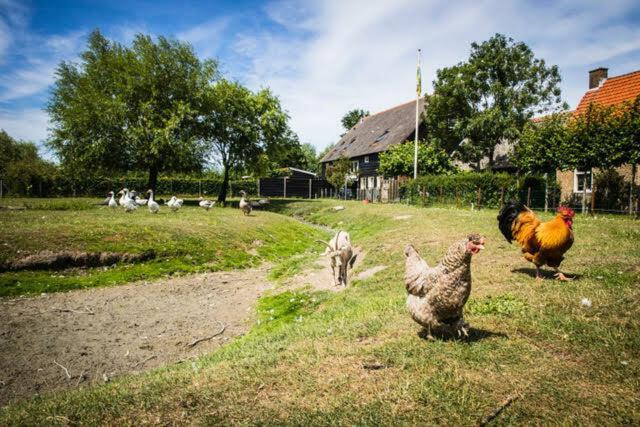 Vakantiewoning - Kon. Emmaweg 26 | Vrouwenpolder 'Uitspanning Oranjezon' المظهر الخارجي الصورة