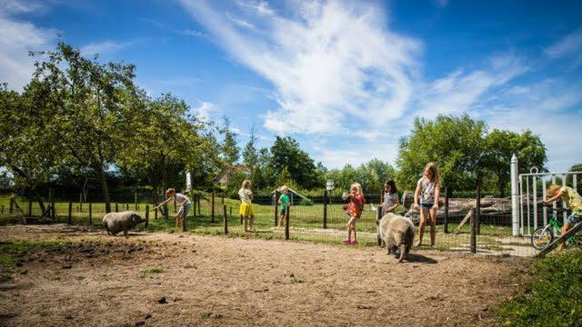 Vakantiewoning - Kon. Emmaweg 26 | Vrouwenpolder 'Uitspanning Oranjezon' المظهر الخارجي الصورة