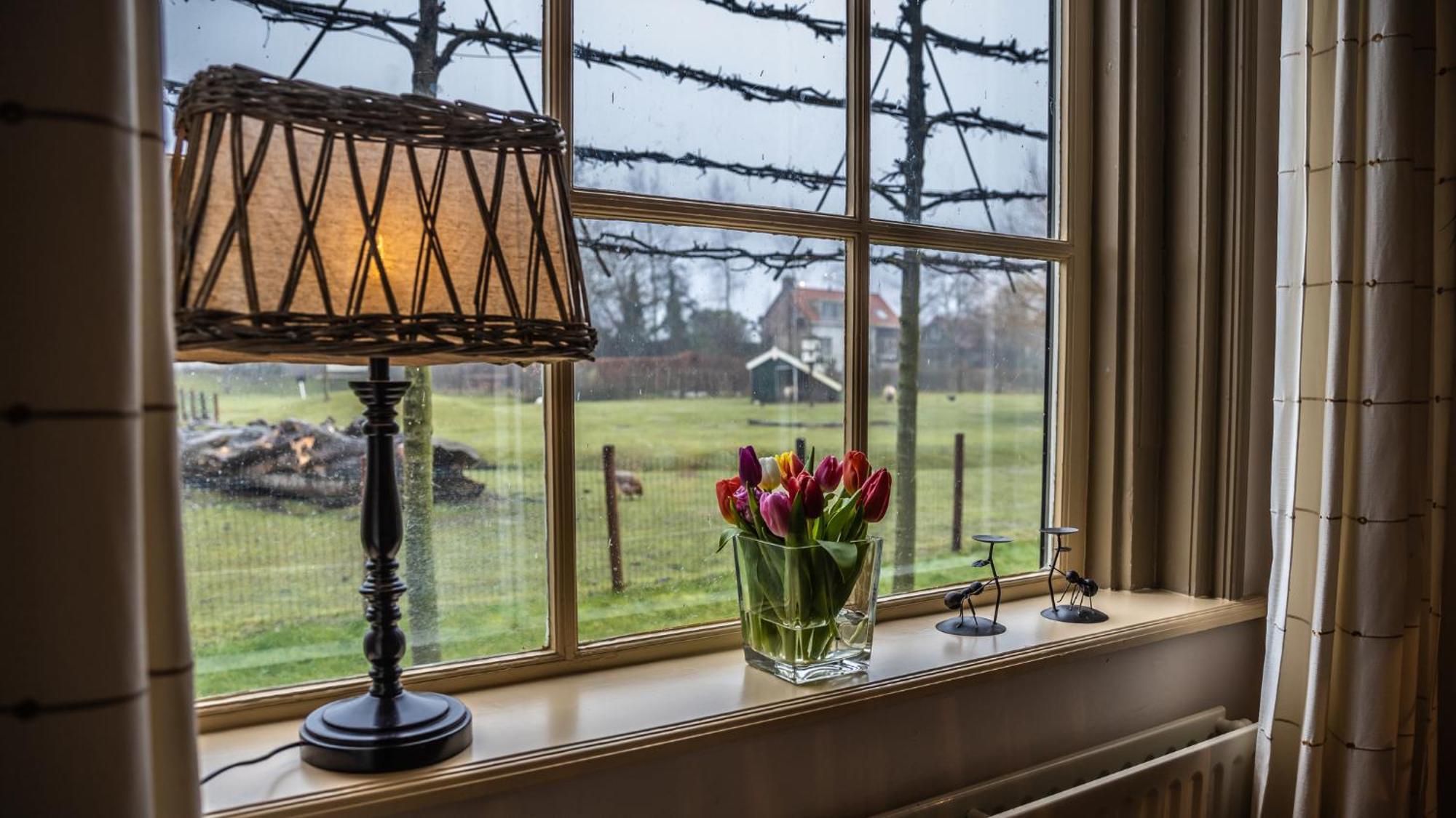 Vakantiewoning - Kon. Emmaweg 26 | Vrouwenpolder 'Uitspanning Oranjezon' المظهر الخارجي الصورة